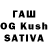 Псилоцибиновые грибы Cubensis Sunnat Nemathonov