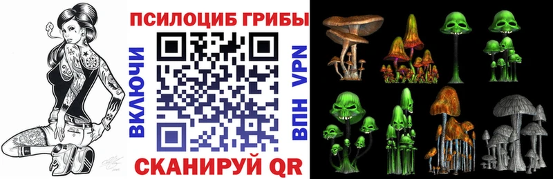 Псилоцибиновые грибы Cubensis  ссылка на мегу зеркало  Подпорожье 